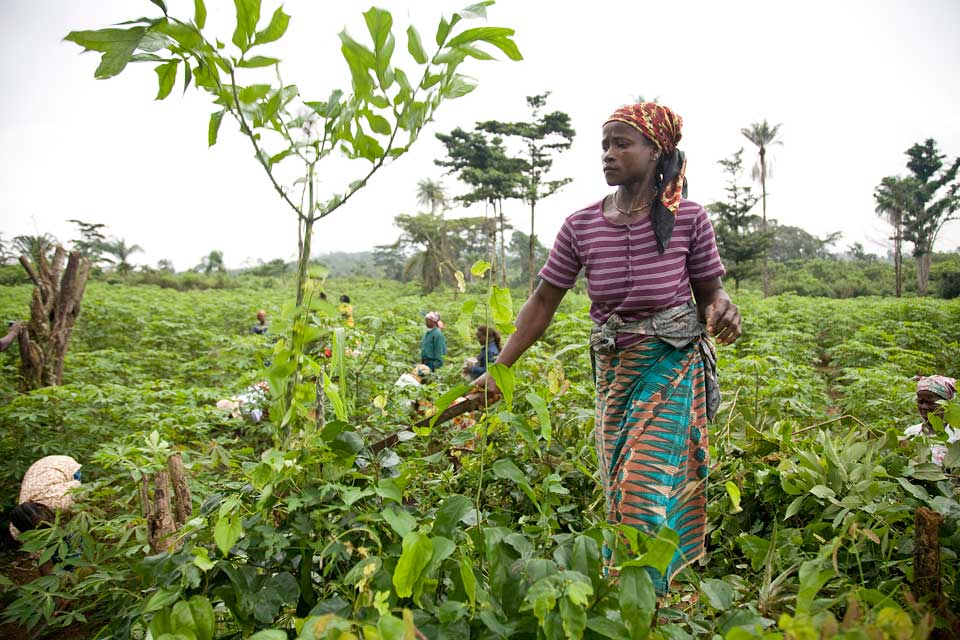 femme-africaine-agriculture