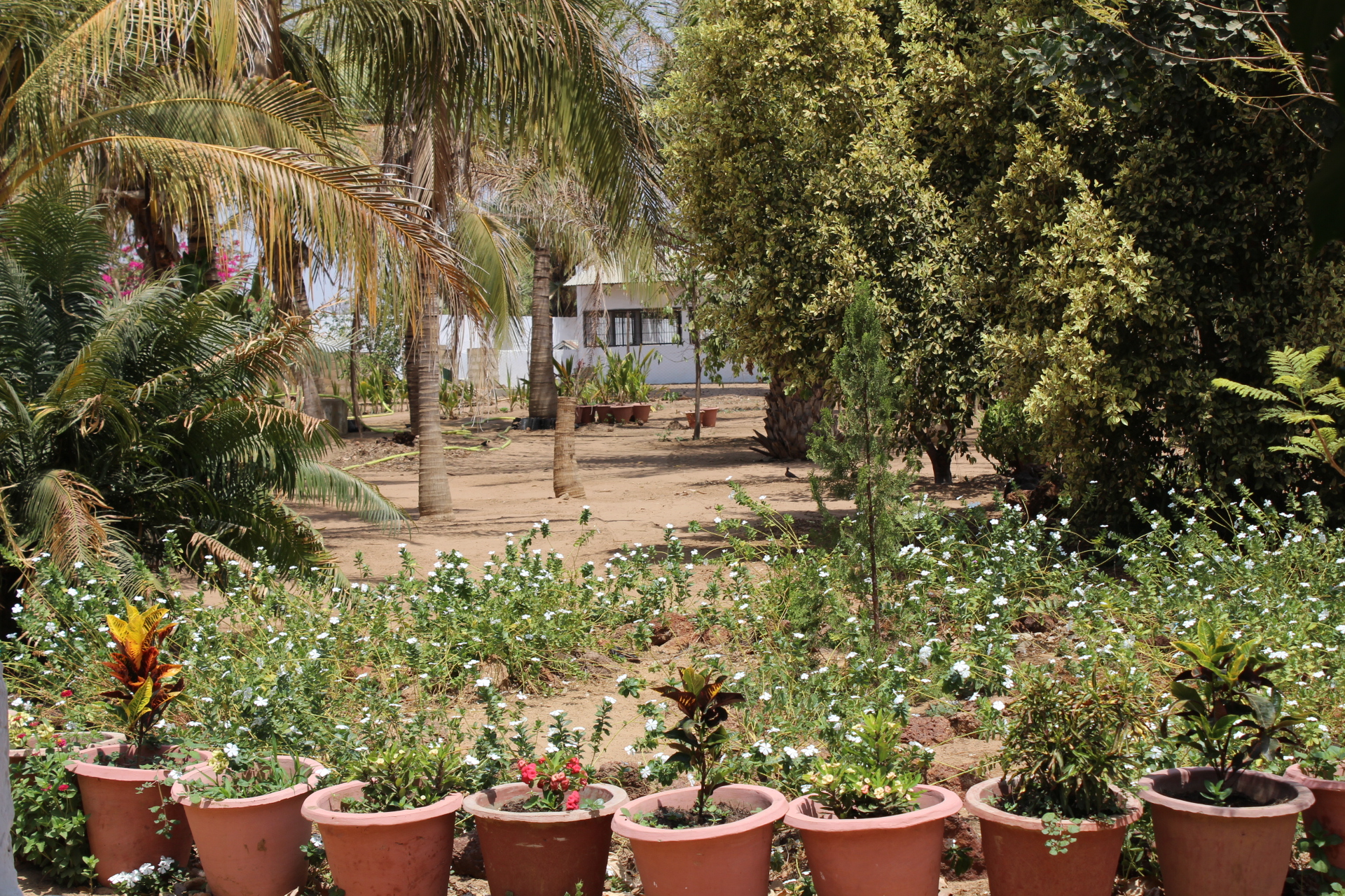 Une vue sur la ferme Kaydara